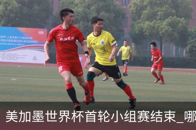 美加墨世界杯首轮小组赛结束 哪支球队最令人失望？
